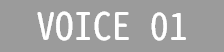 VOICE 01