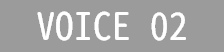 VOICE 02