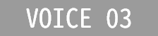 VOICE 03