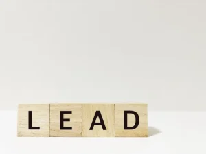 新規案件のリード(見込み客)創出を意味する、LEADと書かれた木製ブロック